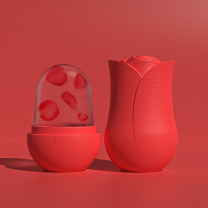 Cooling Roller Apply Face Plastic Ice Cube Tray